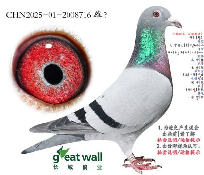 8.��С�ӻ��ض����.2008716