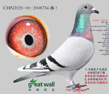 10.ͼ��˹003���.2008754