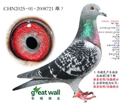 12.��԰����9��ȫƽ��.2008721