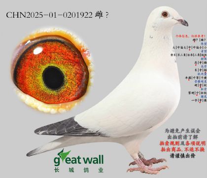 13.��ѻ��ض�x��������.0201922