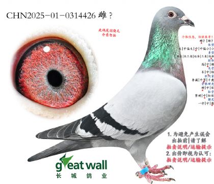 1.�����Ӵ�.0314426