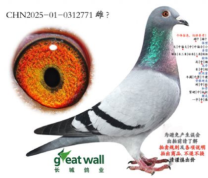 3.���հ���Ӵ�.0312771