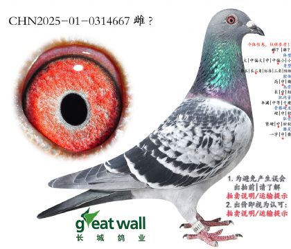 5.��������ȫƽ���Ӵ�.0314667