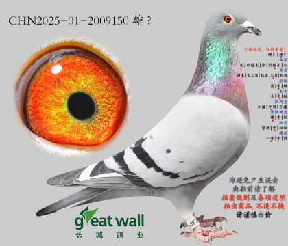 10.���ǲ���Ѫϵ.2009150