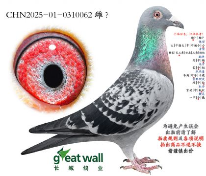 11.������³���Ӵ�.0310062