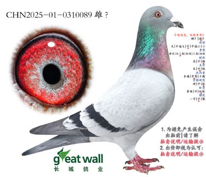 12.������ŵ���Ӵ�.0310089