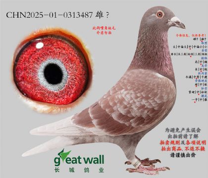 14.����x���ض�.0313487