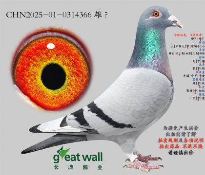 13.ղ��˹801���.0314366