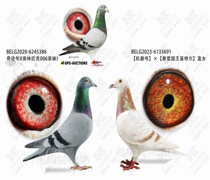 �漣��ֱ��X������ֱŮ