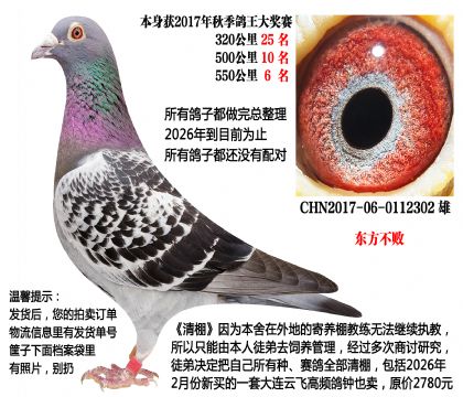 �����ָ룬�������ܣ�500����10����550����6����