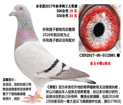 ��������x������500����19����550����34����