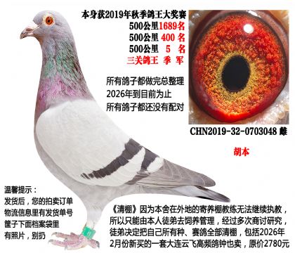 �����ָ룬������500����5�������ظ���������