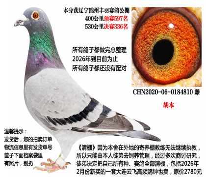 ����������˫�ؿ죬�񽱸�