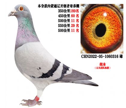 ������ͨ�ɿ����߼�������ظ�����