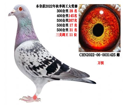 ��500����17����500����31�������ظ���11λ��