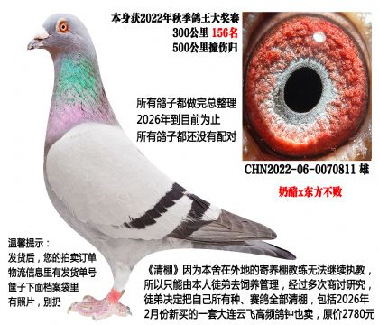 ����x�������ܣ��������ۣ�