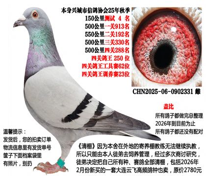 �Ǳȣ�2025���＾�Ĺسɼ��룩