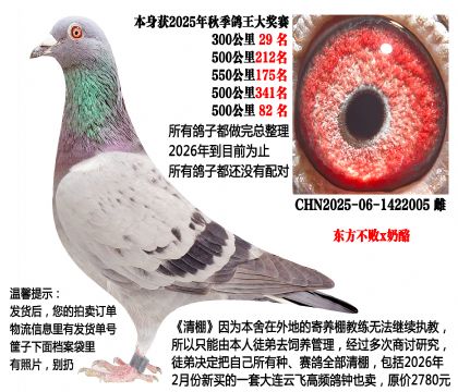 ��������x���ң�2025���＾�Ĺسɼ��룩