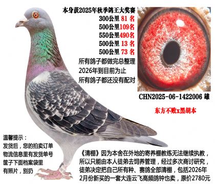 ��������x������2025���Ĺسɼ��룬500����13���ȣ�