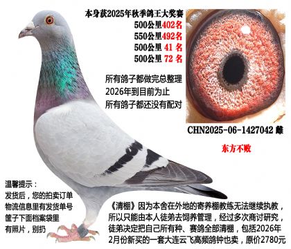 �������ܣ�2025���Ĺسɼ��룬500����51���ȣ�