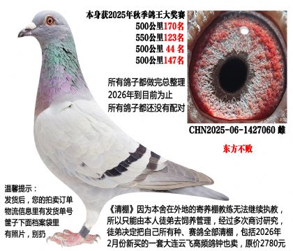 �������ܣ�2025���＾�Ĺسɼ��룬500����44���ȣ�