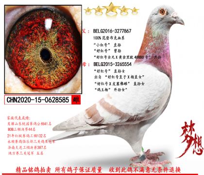 ���ǲ��ˡ�С���ֱ��X�ú��ֱ��Ů��