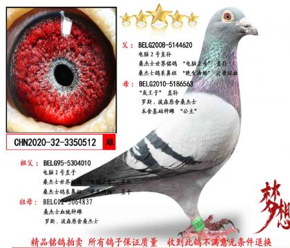 �������Ƽ���ɣ��ʿ����2��ֱ��X������ֱ��