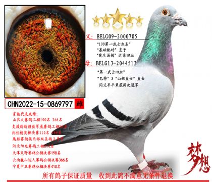 ��199��һ��ʿѪϵ��X����һ��ʿ��Ѫ��