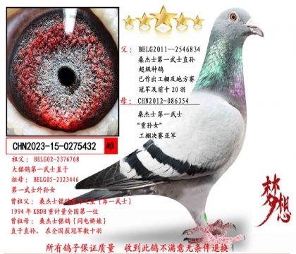 ���ص��Ƽ���ɣ��ʿ��һ��ʿֱ��X��һ��ʿ����Ů