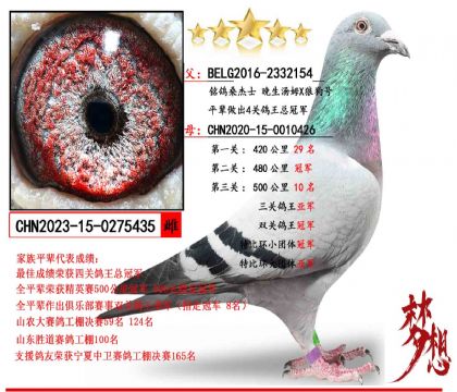 ���Ƽ���������ķX�ǹ���X˫�عھ������Ǿ�