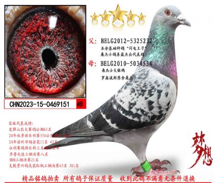 ���������ӣ�ɣ��ʿ�����ִ�151