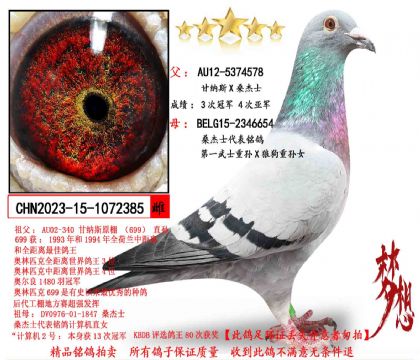 ����˹Xɣ��ʿ����һ��ʿ����X�ǹ�������Ů