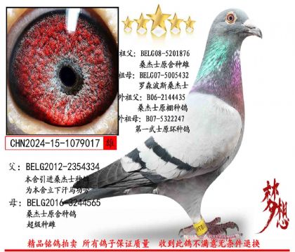 ɣ��ʿ��������017