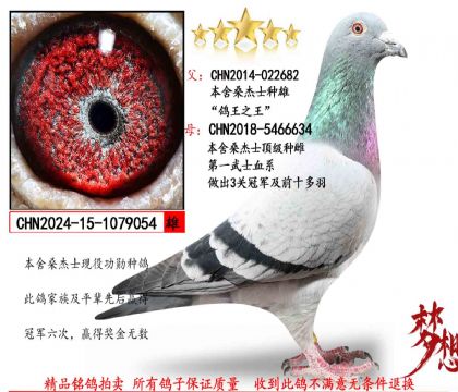 ������֮����ɣ��ʿ�����ִ�054