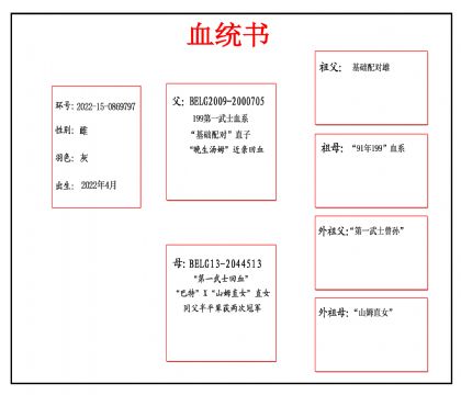 2022-15-0869797Ѫ_����