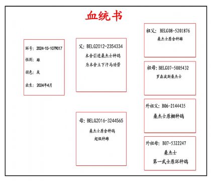 2024-15-1079017Ѫ����