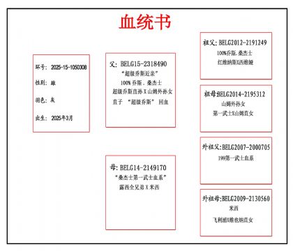 2025-15-1050308Ѫ����