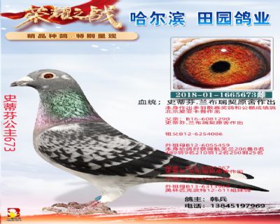 ʷ�ٷҹ���673