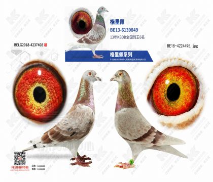 ������ֱ��XֱŮ