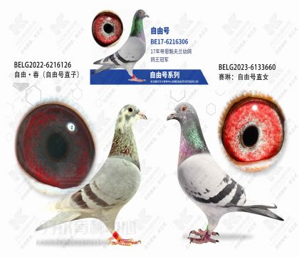 ���ɺ�ֱ��XֱŮ