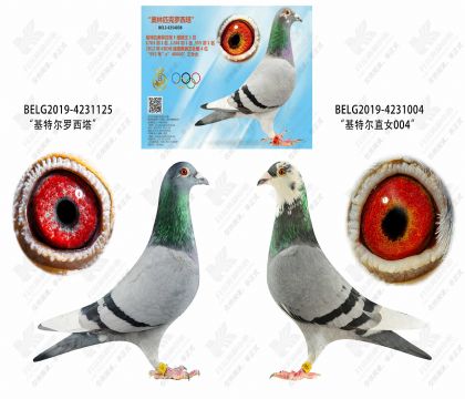 ������ֱ��XֱŮ