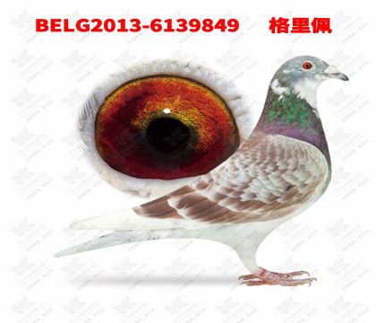 3-������