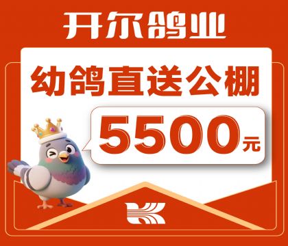 ������ҵ-�׸�ֱ�͹���-5500Ԫ