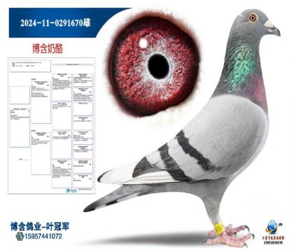 ����2024-11-0291670