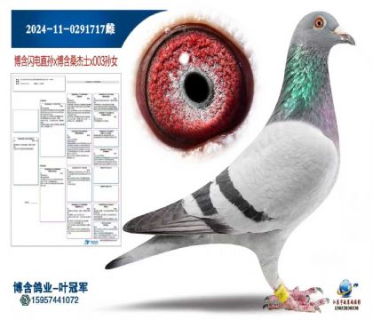 ����ɣ��ʿ��Ů2024-11-0291717