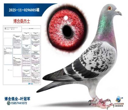 ɣ��ʿ2025-11-0296005