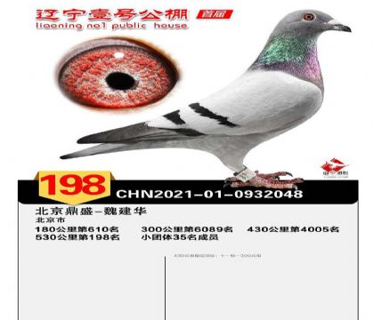 ����Ҽ�����빫��530�������198��   ��	