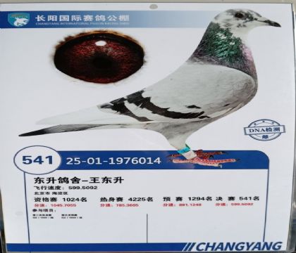 �����������빫��500�������541��  ��	