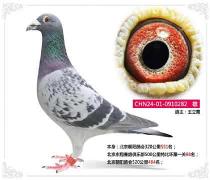 ��������������ֲ�500�����رȻ���һ��88��   ��