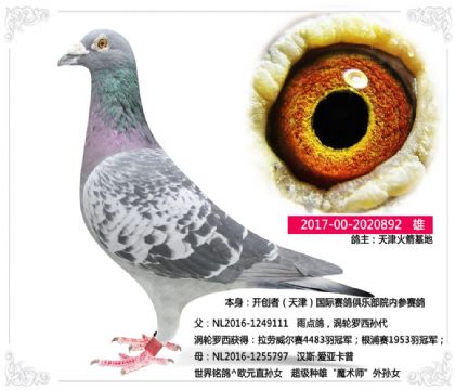 ���������---�����߲�����892   ��	